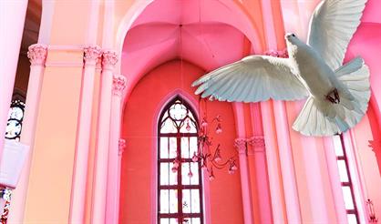 Орган и птицы. И.С. Бах, А. Вивальди и не только