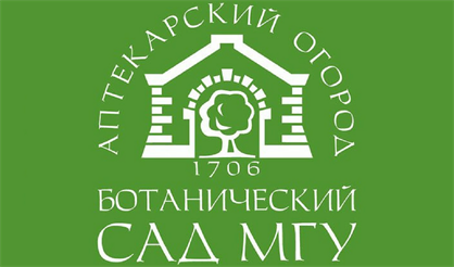 Русская ярмарка