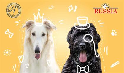 Выставка собак «Россия 2021»