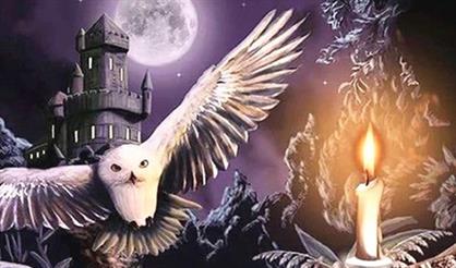 Гарри Поттер. Nella Musica Orchestra