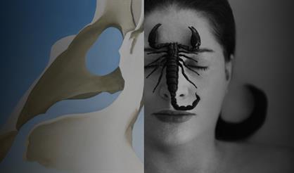 Женщины-художницы в искусстве XX века