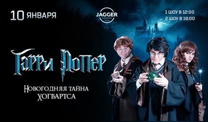 Гарри Поттер и новогодняя тайна Хогвартса