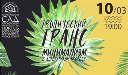 Тропический транс. Минимализм в Аптекарском огороде