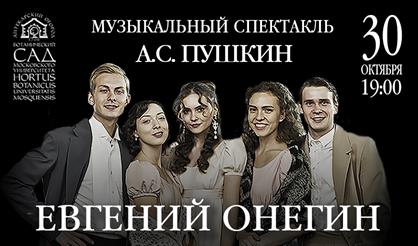 Евгений Онегин. Музыкальный спектакль