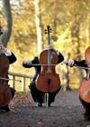 Мировые рок-хиты на виолончелях. Magic Cellos Band