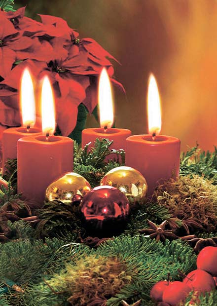 Свечи Адвента. Органный вечер в соборе