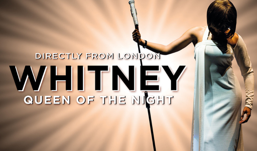 Уитни хьюстон queen of the телохранитель. Queen of the night костюм. Whitney houston queen of the night костюм. Уитни хьюстон сценические костюмы. Уитни хьюстон queen of the night.