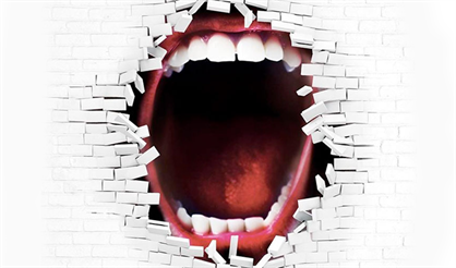 The Wall, The Pink Floyd's Rock Opera