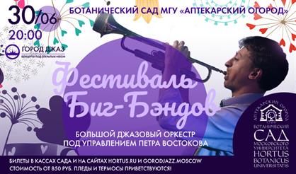 Фестиваль биг-бэндов: Большой джазовый оркестр п/у П. Востокова