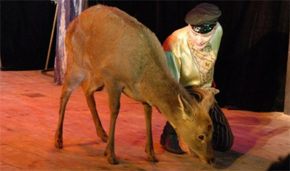 Московское шоу зверей