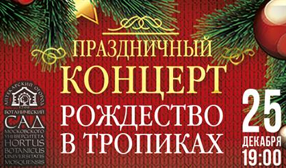 Тропическое Рождество