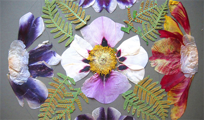 Символика растений. Летняя мандала удачи