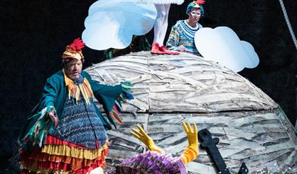 Гадкий утенок