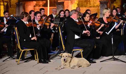Венский камерный оркестр. Лена Белкина