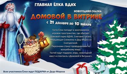 Домовой в витрине. Главная елка ВДНХ!