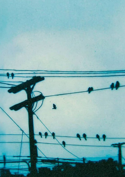 Инди-фестиваль "Близость"