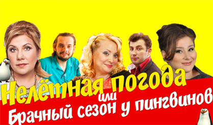 Нелетная погода, или Брачный сезон у пингвинов