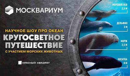 Кругосветное путешествие