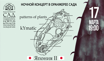 Япония. Patterns of Plants