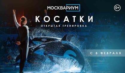 Тренировка с косатками