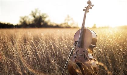 Старинный орган Англиканского собора при свечах. Времена года. Антонио Вивальди