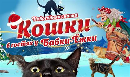 Кошки в гостях у Бабки-ёжки