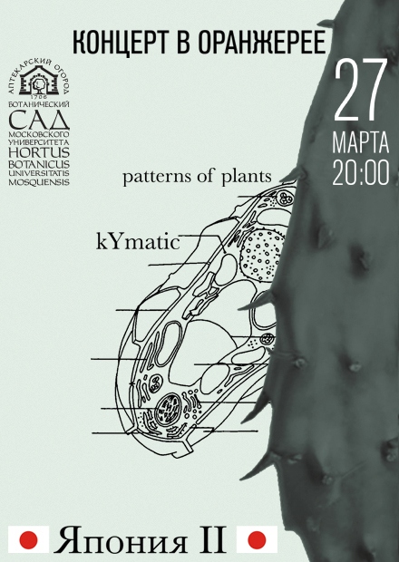 Япония II. Patterns of Plants. kYmatic
