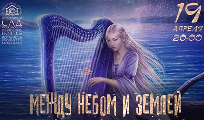 The Sounds of the Harp. Арфа. Между небом и землей