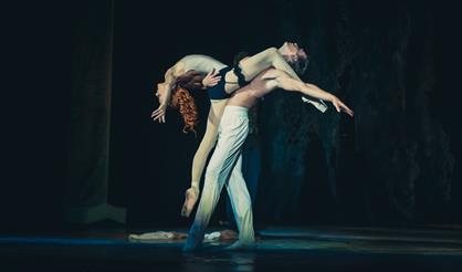 Дама с камелиями