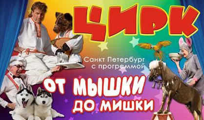 От Мышки до Мишки