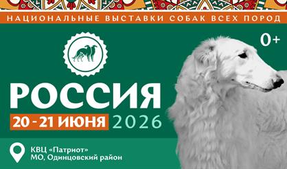Выставка собак «Россия 2026»