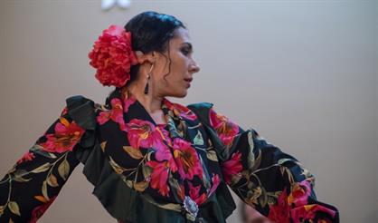 Шоу «Страсть фламенко» на крыше Fantomas Rooftop