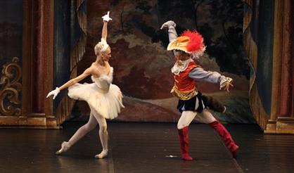 Спящая красавица