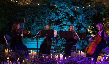 Зимние сказки при свечах. Квинтет Espressivo