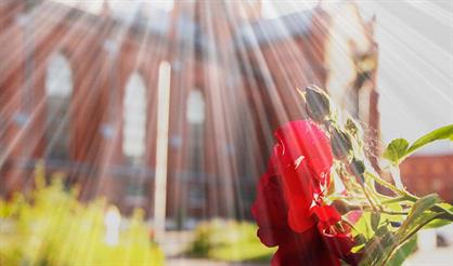 Органный вечер в соборе. Играет Регина Каменщикова