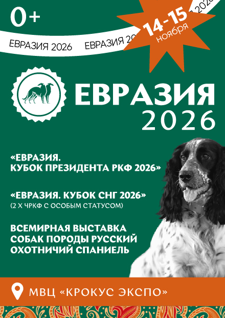 Евразия. Кубок президента РКФ 2026