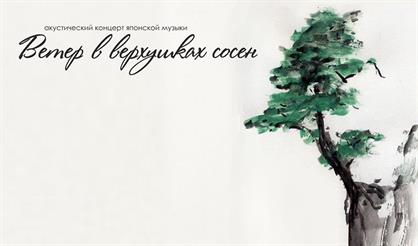 Ветер в верхушках сосен