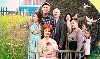 Любовь и голуби