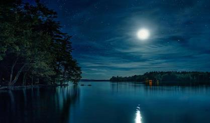 Классика в Кусково. Романтический вечер