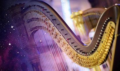 Два органа Англиканского собора. Музыка театров мира. Орган и арфа