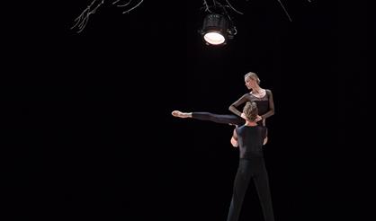 Вариации. Восковые крылья. Kaash