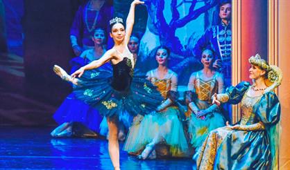 Лебединое озеро