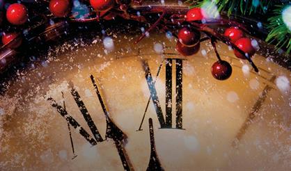 Новогодний концерт в соборе. Орган и вокал