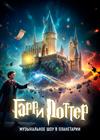 Гарри Поттер. Музыкальное шоу в Планетарии