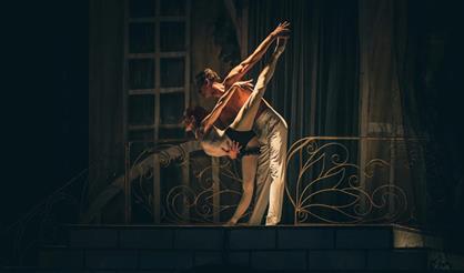 Дама с камелиями