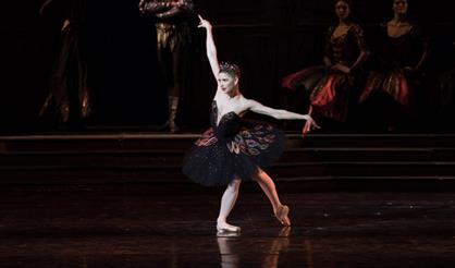 Лебединое озеро. МАМТ