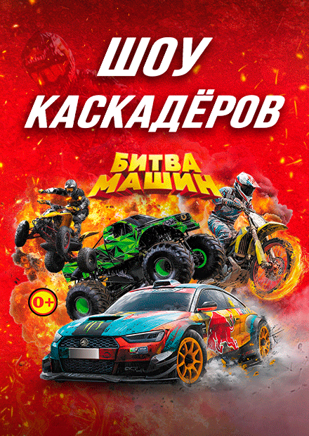 Шоу каскадеров
