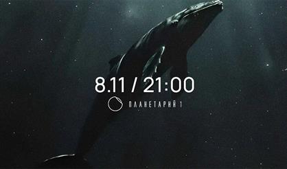 Киты и звёзды