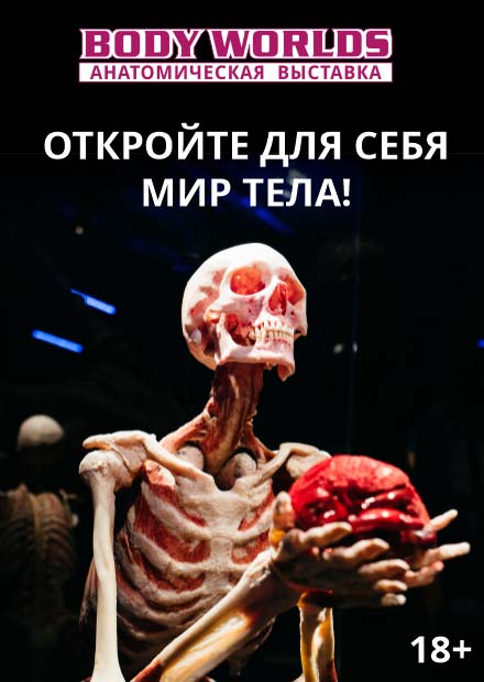 Body Worlds. Мир тела