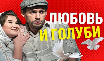 Любовь и голуби